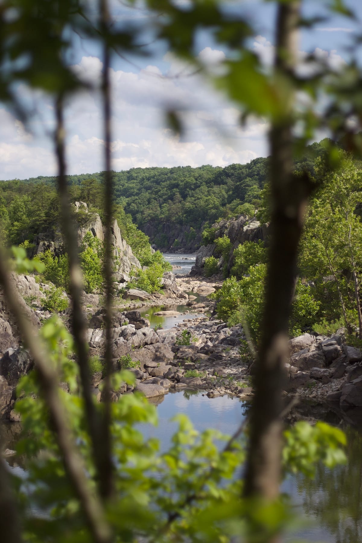 A Few Words on Shooting